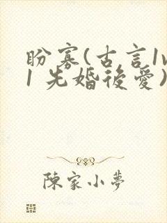 盼寡(古言1v1 先婚后爱)