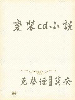 变装cd小说封面