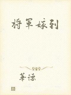 将军嫁到