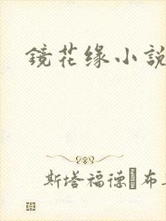 镜花缘小说