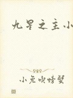九星之主小说