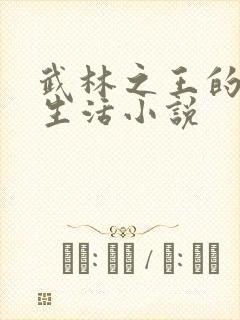 武林之王的退隐生活小说