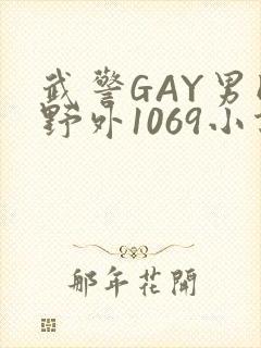 武警GAY男同野外1069小说封面