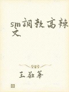 sm调教高辣h文