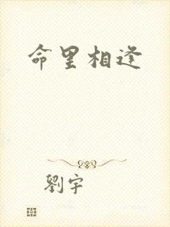 命里相逢