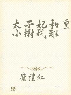 太子妃和皇上在小树我离封面