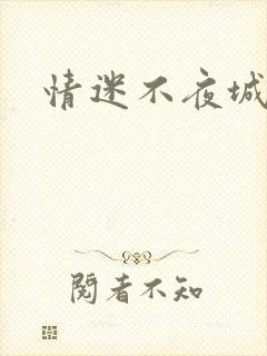 情迷不夜城