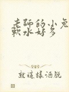 老师的小兔子好软水好多