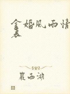 金婚风雨情演员表封面