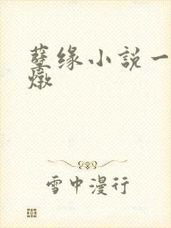 孽缘小说一家乱炖