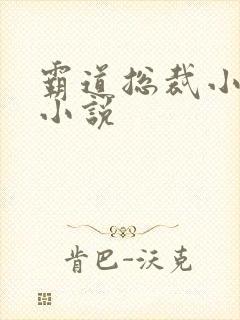 霸道总裁小娇妻小说