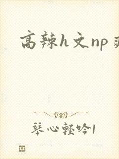 高辣h文np爽