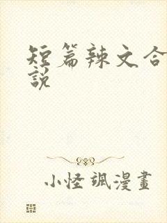 短篇辣文合集小说