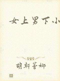 女上男下小说