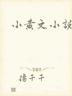 小黄文小说