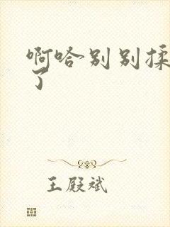 啊哈别别揉那处了