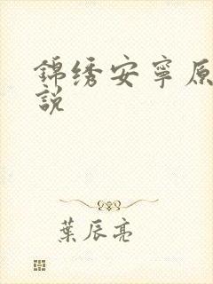 锦绣安宁原著小说