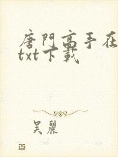 唐门高手在异世txt下载