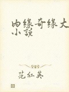内缘奇缘大团圆小说