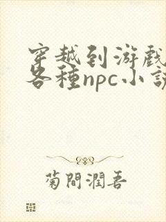 穿越到游戏里和各种npc小说