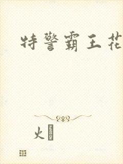 特警霸王花封面