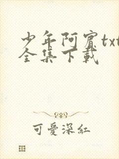 少年阿宾txt全集下载