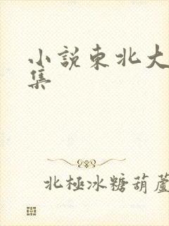 小说东北大炕全集