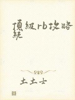 顶级rb攻略系统