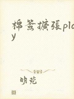 棉签扩张play封面