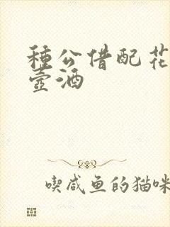 种公借配花间一壶酒