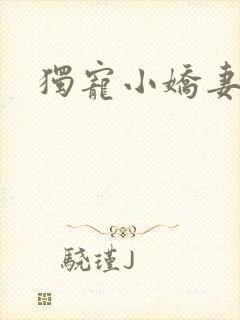 独宠小娇妻