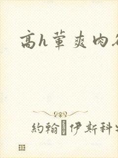 高h荤爽肉欲文