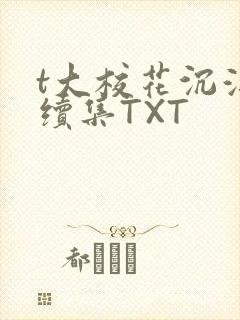 t大校花沉浮录续集TXT