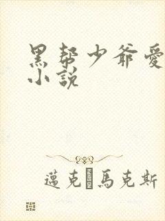 黑帮少爷爱上我小说