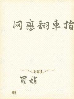 网恋翻车指南封面