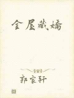 金屋藏娇封面