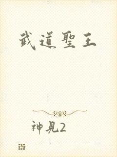 武道圣王