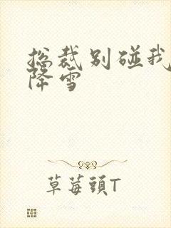 总裁别碰我 韩降雪