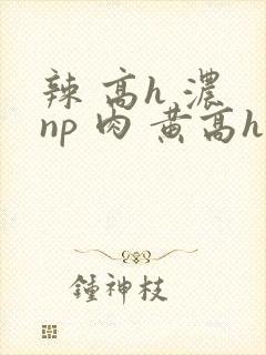 辣 高h 浓 np 肉 黄高h