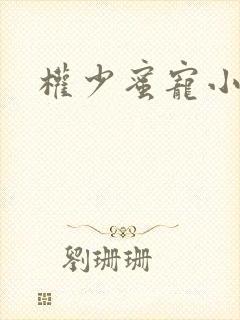 权少蜜宠小娇妻