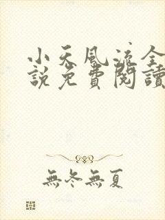 小天风流全集小说免费阅读封面