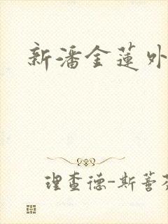 新潘金莲外传封面