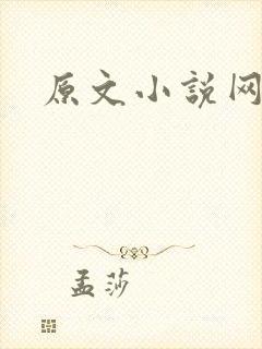 原文小说网封面