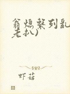 翁熄系列乱 (老扒)