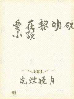 爱在黎明破晓前小说