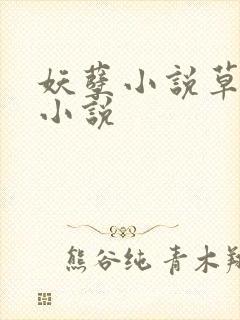 妖孽小说草莓酱小说