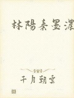 林阳秦墨浓度封面