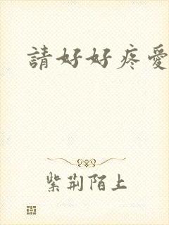 请好好疼爱里面