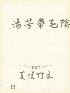汤芳带毛阴部封面