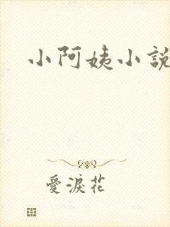 小阿姨小说封面